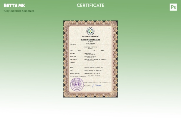 модерен стил Парагвајски шаблон за PSD извод од матична книга на родените